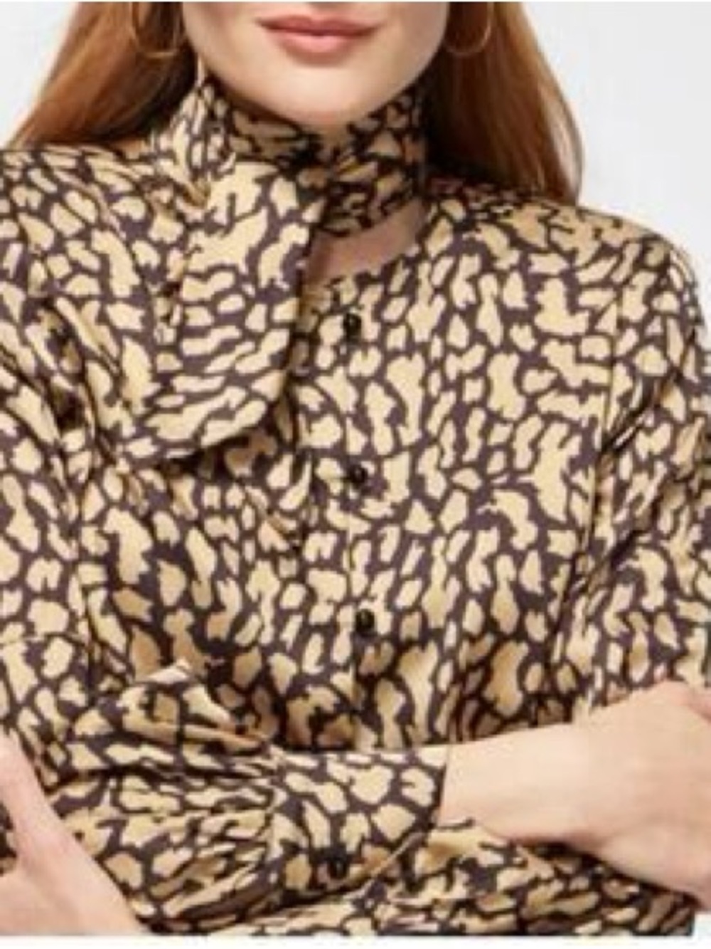 Black Label Tie-Neck Animal Print Blouse - Beige & Dark Brown